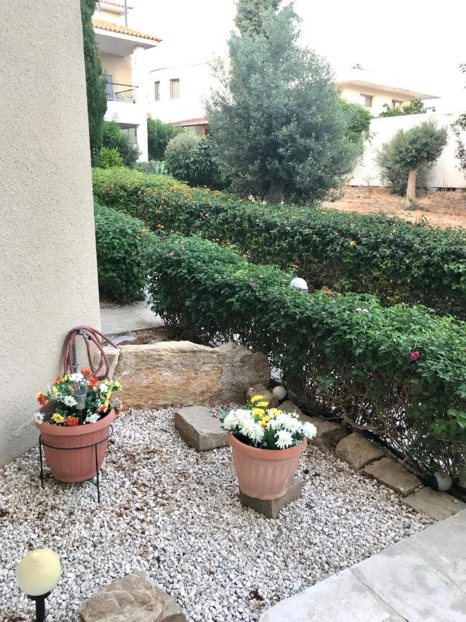 Owls Nest Townhouse Villa Paphos Buitenkant foto